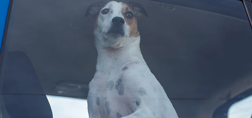 Car Lockout Solutions in Fillmore, California